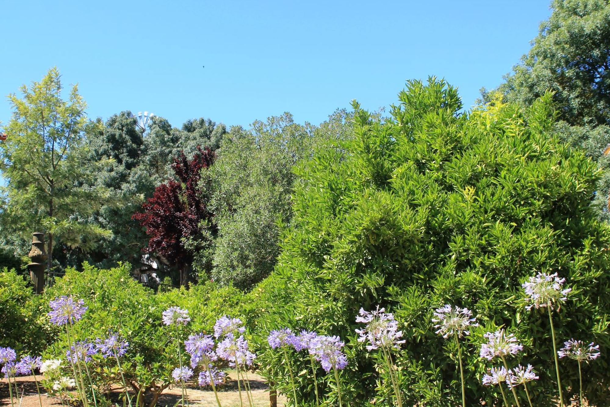 Quinta Do Casal De Santo Antonio Villa Alenquer Eksteriør billede