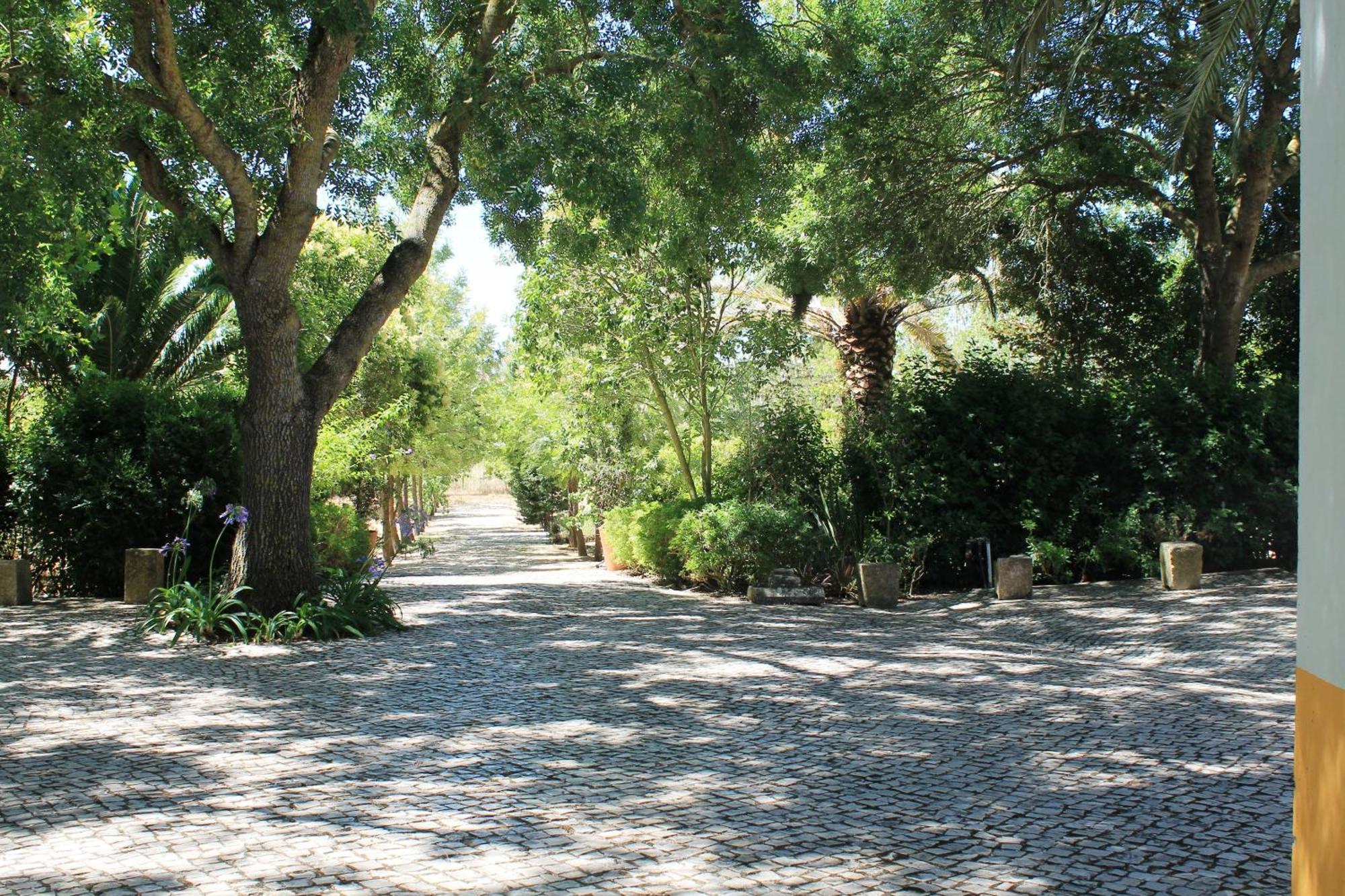 Quinta Do Casal De Santo Antonio Villa Alenquer Eksteriør billede